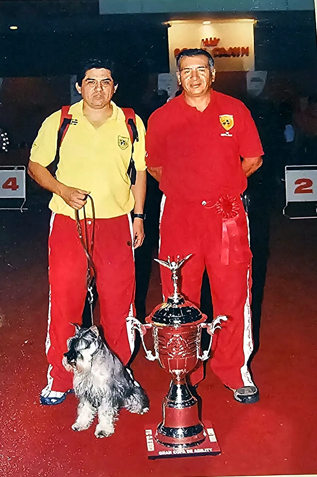 Trofeo de agility con un schnauzer miniatura.