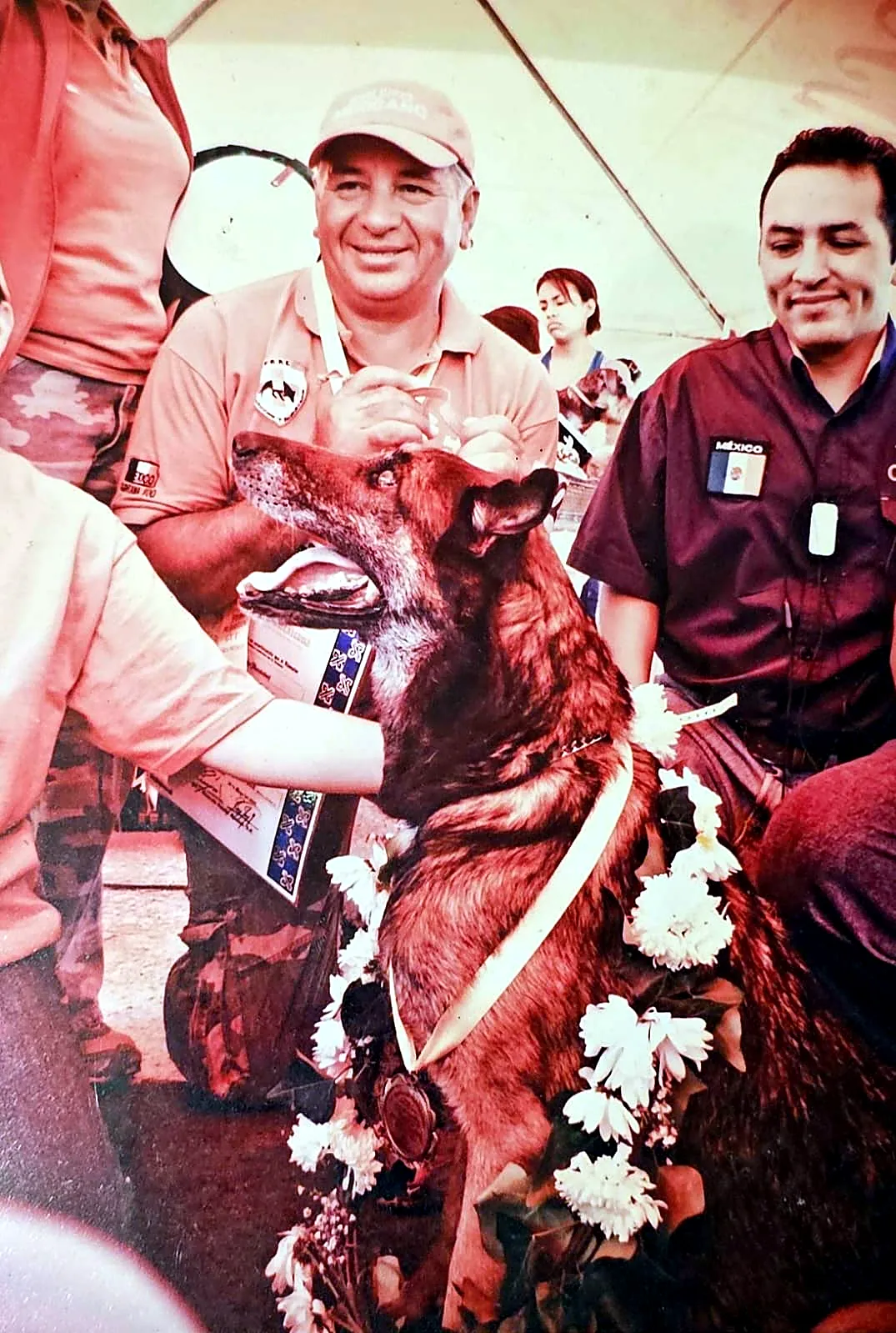 Rodolfo y un pastor belga malinois de PBRC con collar de flores.