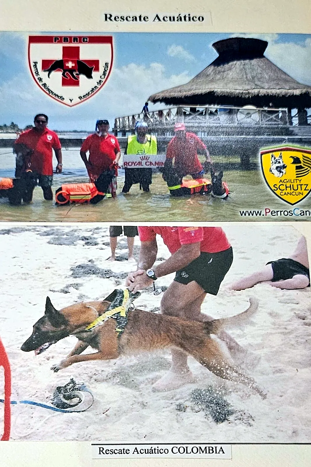 Entrenamiento de rescate acuático de PBRC.