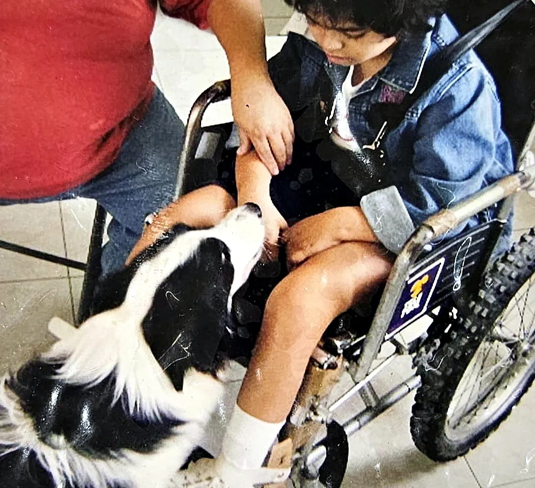 Un border collie acompaña a un niño en silla de ruedas.