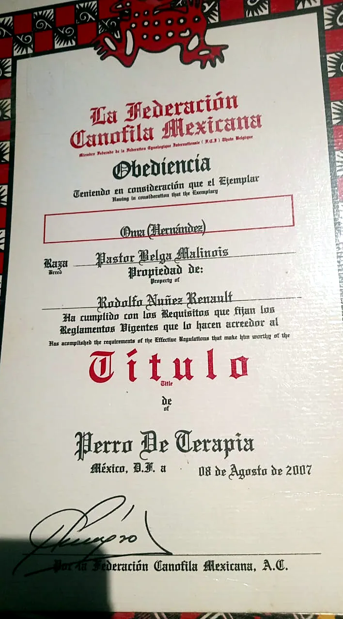 Título de Oma: Perro de Terapia.