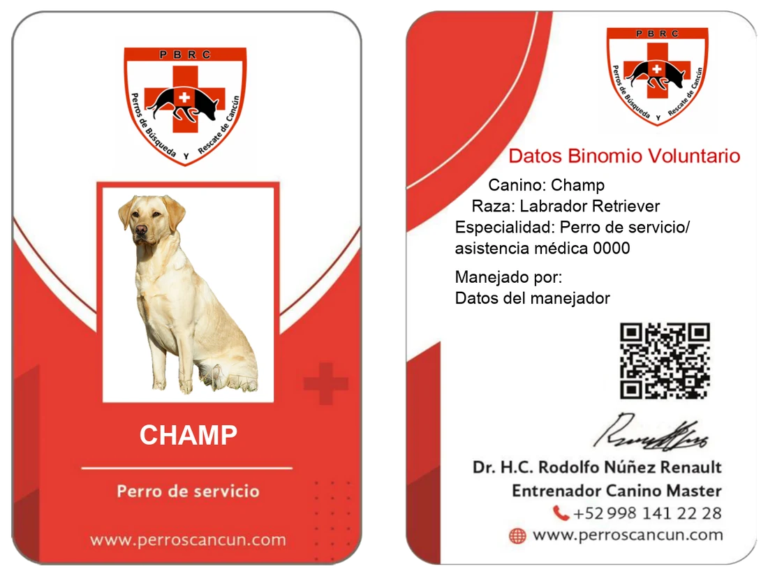 Credencial de ejemplo de perro de servicio emitida por PBRC, anverso y reverso, con fotografía, datos del binomio y código QR