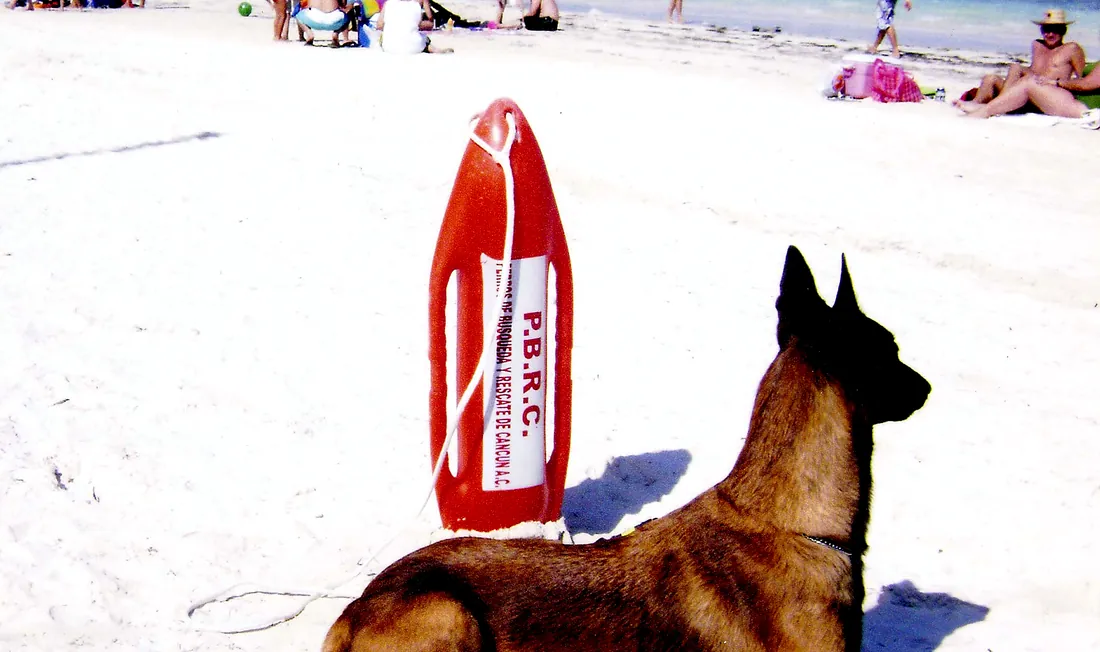 Malinois de PBRC junto al tubo de rescate.
