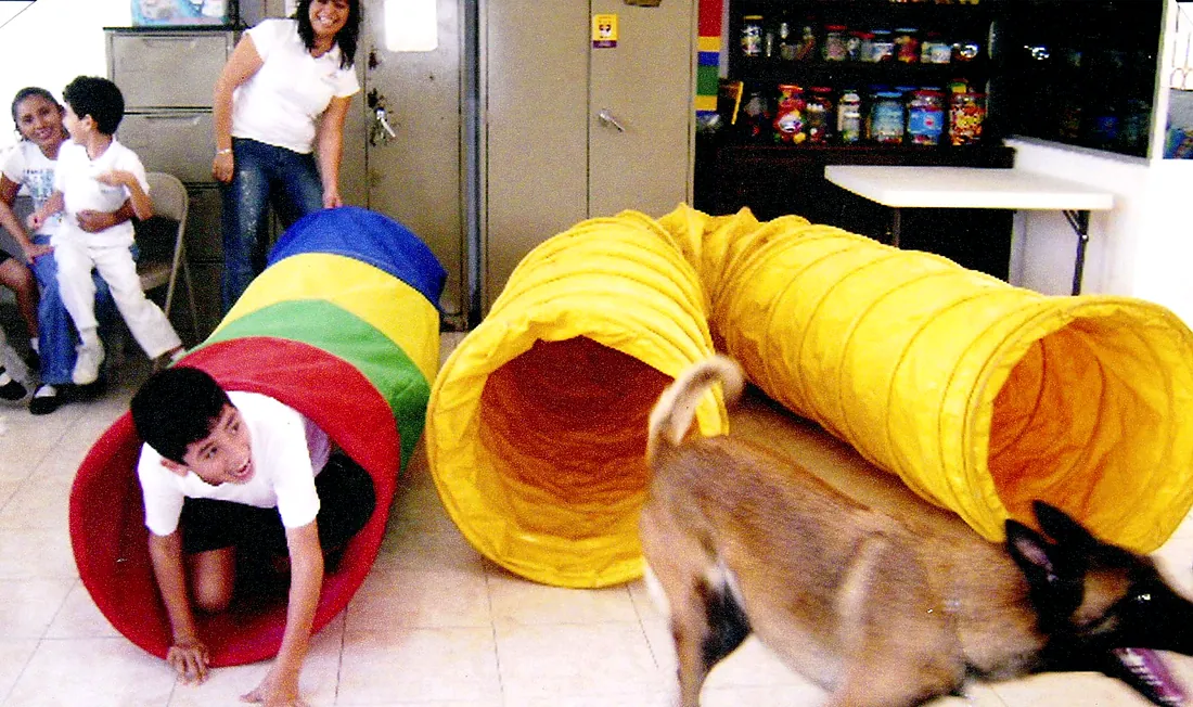 Sesión de terapia asistida con niños y perros
